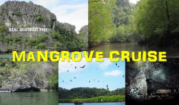 Langkawi-Mangrove-Cruise