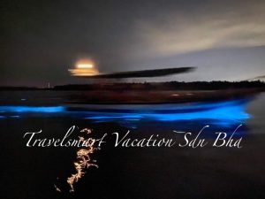 blue-tears-kuala-selangor