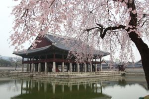 seoul tour package